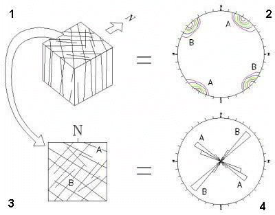 Rosette Plot