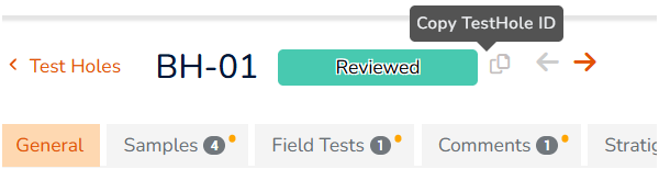 Copying Test Hole ID