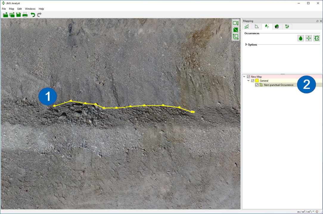 Non-punctual Occurrence (yellow polygon)