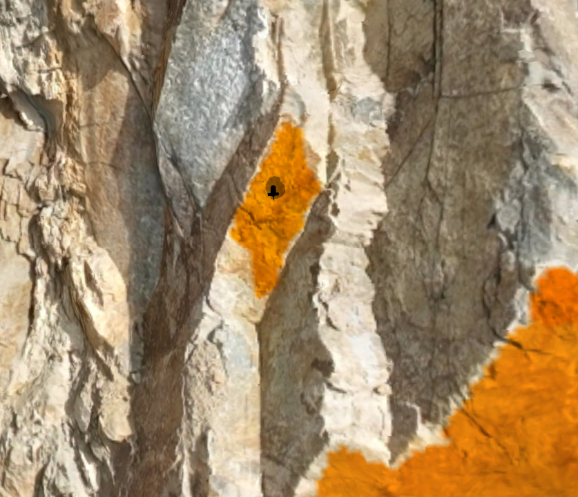 joint surface