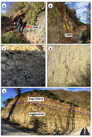 Field view of the (a) scarp of the foot-wall block of the NE trending vertical strike fault, (b) fault line, (c, d) agglomerates and (e) formation boundary between slope debris and agglomerate.