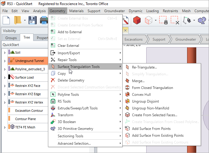 The image shows the surface triangulation menu dialog in RS3