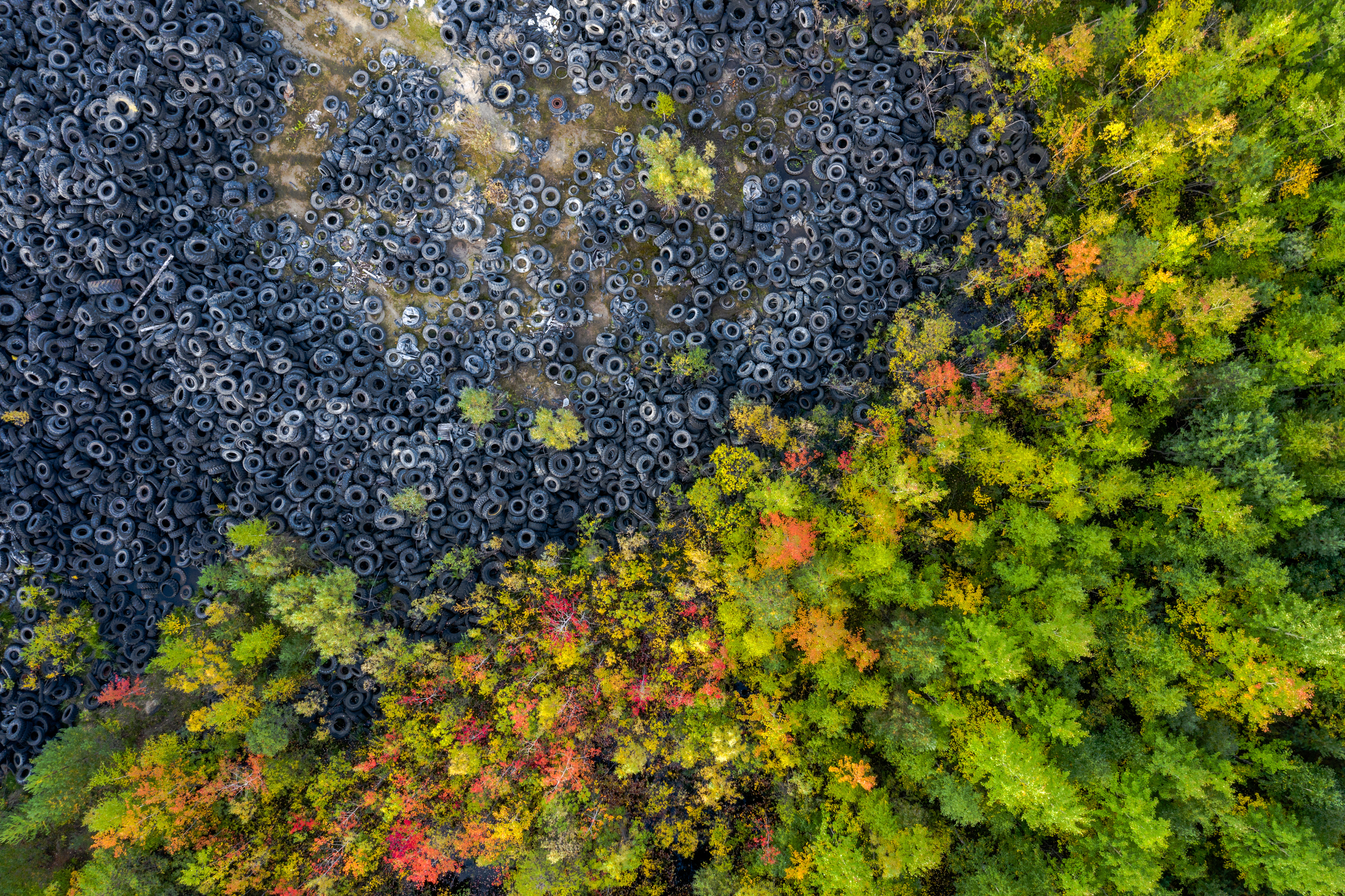 Adobe stock image of a tire landfill next to a forest.