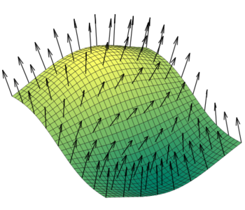 An illustration of a surface (constructed though from quadrilaterals) with consistent normals.