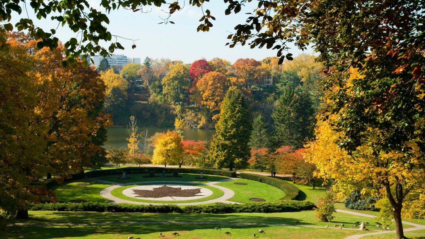 The image shows a view of High Park in fall in Toronto