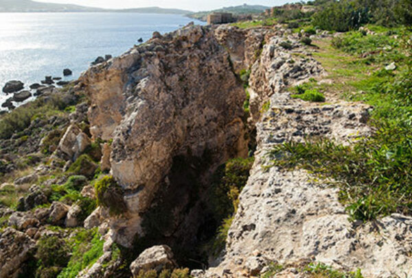 Article thumbnail Joint Effort DIPS S Wedge